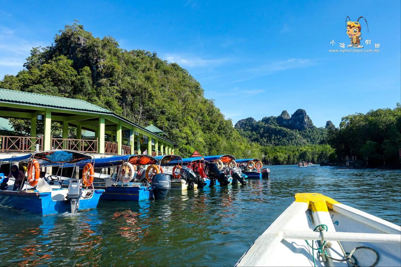 Jelajahi Hutan Mangrove Langkawi dengan Tur yang Menakjubkan